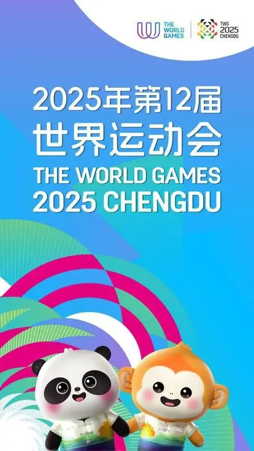 巡查, 和大型赛事
