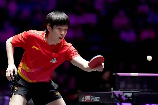 仅林诗栋一 仅林诗栋一